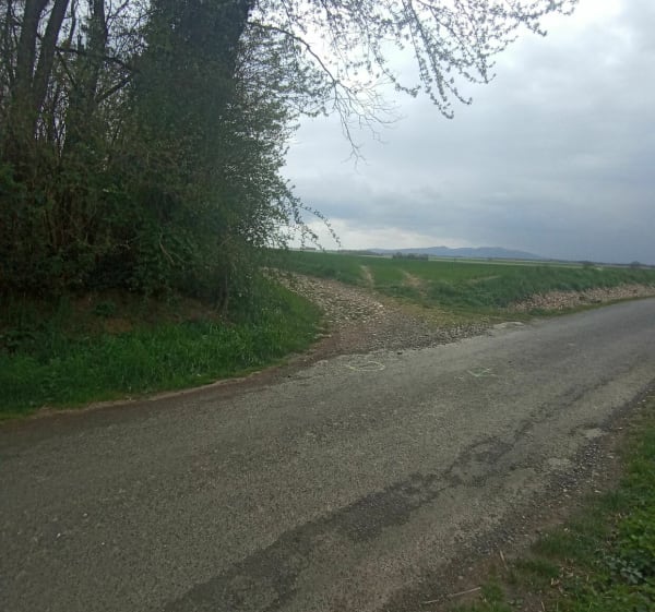 Bois du Crêt - Rancé - 1