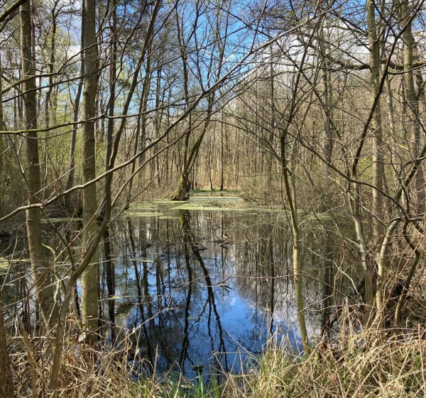 La Traversée de Marchiennes - Marchiennes - 1