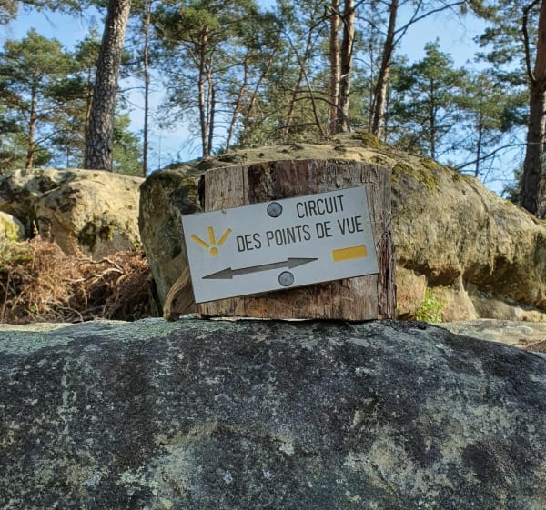 Points de vue et petite mare en forêt de Fontainebleau. - Fontainebleau - 1