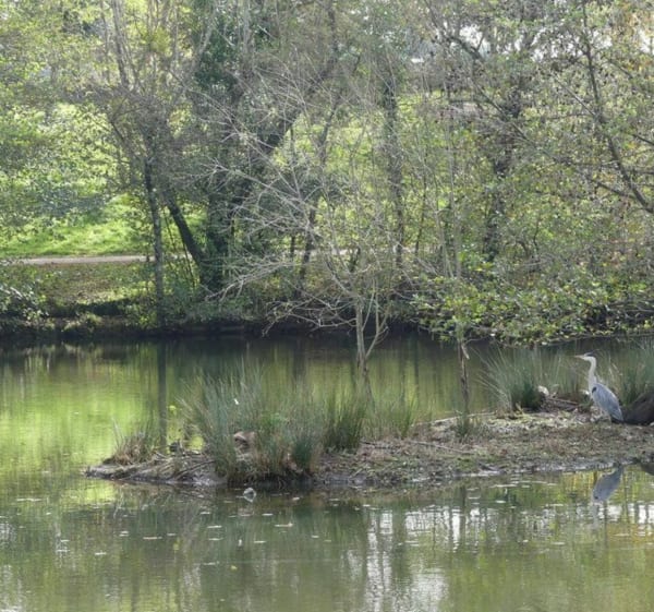 Balade à Pessac au départ du Bougnard - Pessac, Bordeaux - 1