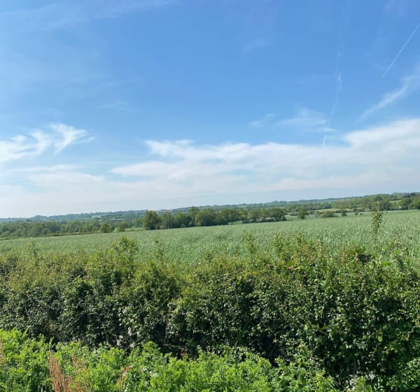 Balade au cœur de la campagne - Sainte-Cécile - 1