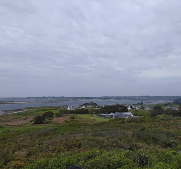 Île Grande et Sommet de la lande - Pleumeur-Bodou - 1