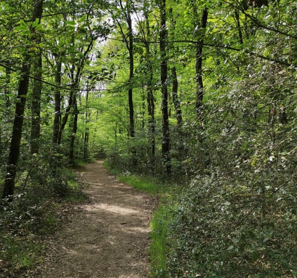 Le chemin des cabanes - Aizenay - 1