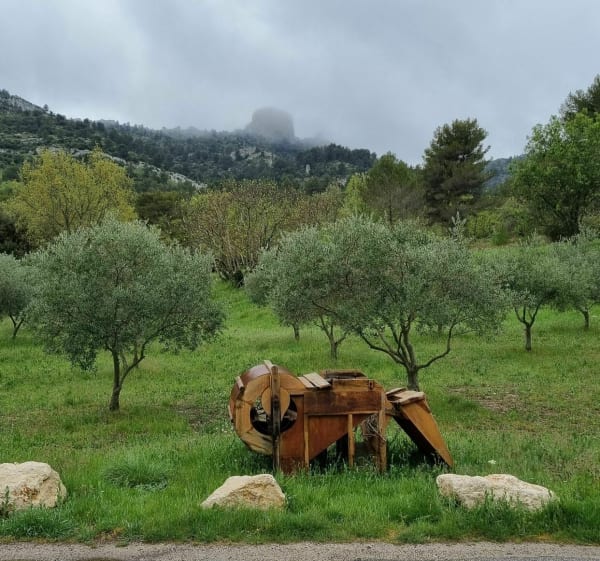 Tour du domaine des Marres - Biver - 1