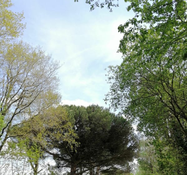 Jonction entre le Moulin au Geay et la Boissière - Aubigny-Les Clouzeaux - 1