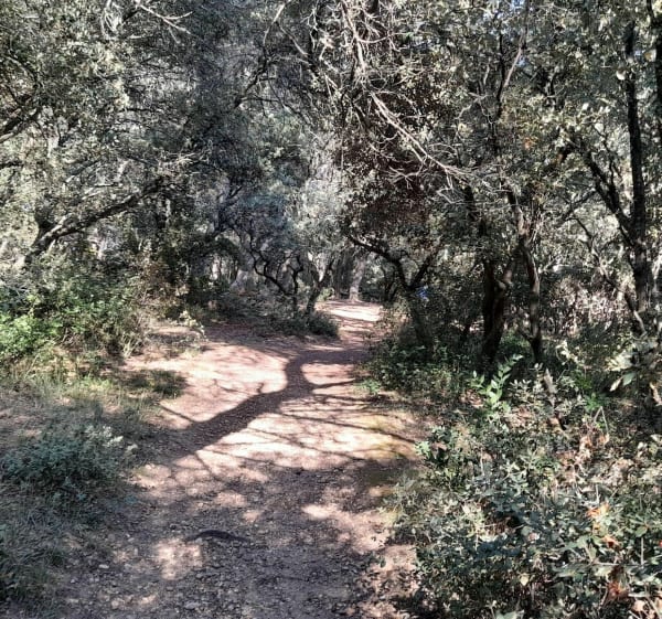 Rando/Trail à Vaucroze-Sorgues - Sorgues - 1