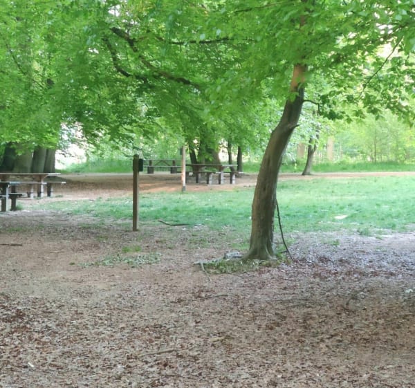Wandeling in het groene bos van Bretèque - Bois-Guillaume - 1
