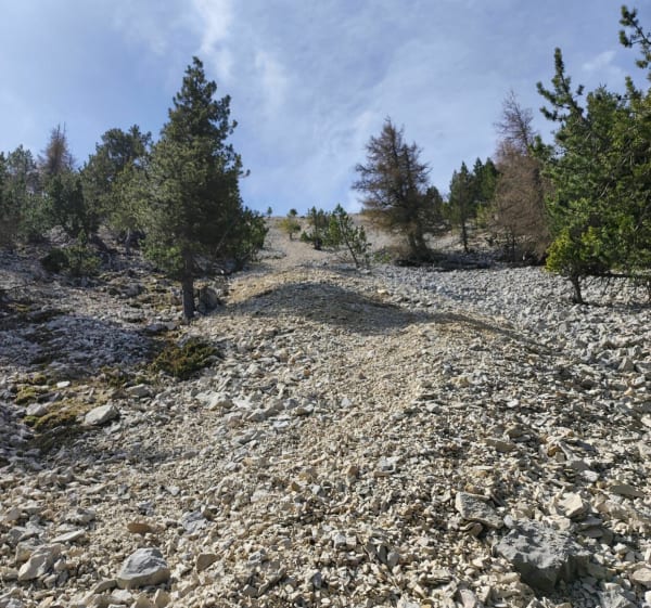 Mont Ventoux face Nord - Beaumont-du-Ventoux - 1