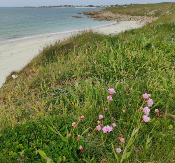 Marais du Curnic et plage du Vougot - Guissény - 1
