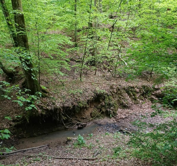 Sentier découverte Oeutrange - Thionville - 1