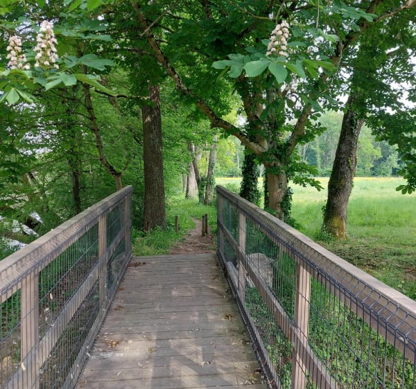 Randonnée à vélo près de Nitray - Athée-sur-Cher - 1