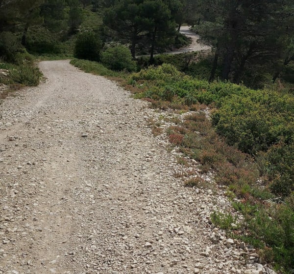 Wandeling naar Caume Saint Remy de Provence - Saint-Rémy-de-Provence - 1