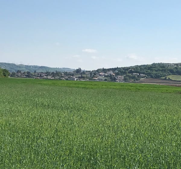 Balade en Louze - Clonas-sur-Varèze - 1