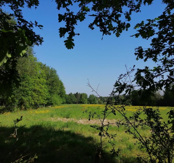 Boucle du Beignon - Sainte-Flaive-des-Loups - 1