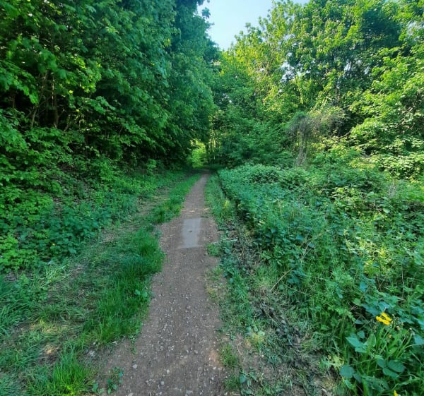 Urban jungle Longwy - Longwy - 1