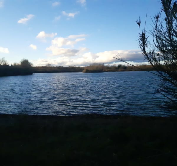 Balade Etang de Villelongue dels Monts + Le tech - Villelongue dels Monts - 1