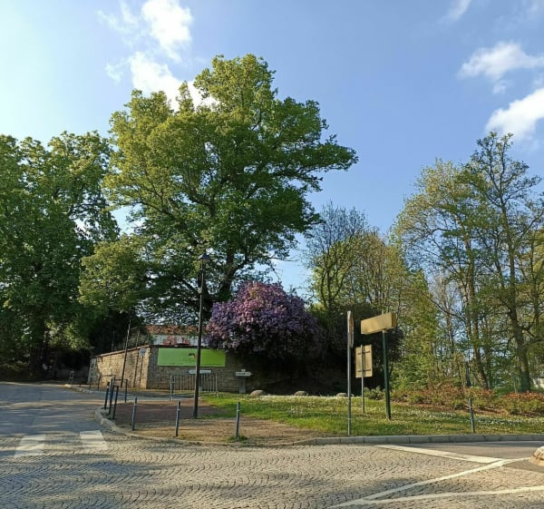 Côt' et cool : Nancy, Malzéville et Agincourt - Nancy - 1