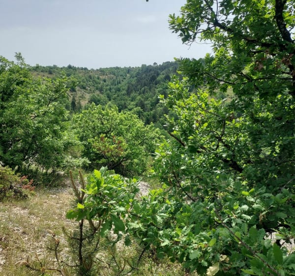 Promenade sur Le Mont Saint-Cyr - Cahors - 1