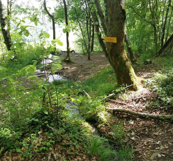 Tour des roches de Veluze et autres curiosités - Barbirey-sur-Ouche - 1