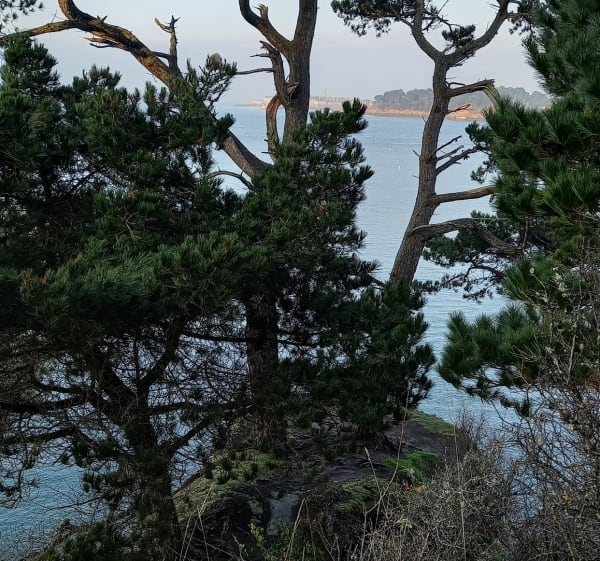 Dinard la belle : Estuaire de Rance et patrimoine mondain - Saint-Malo - 1