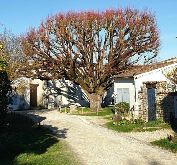 Entre village et océan - Meschers-sur-Gironde - 1