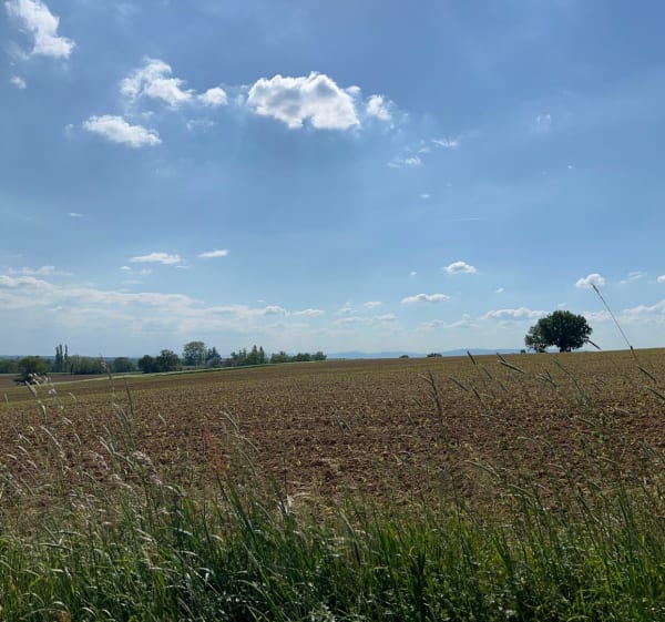 Vonnas - Perrex - Vonnas - Vonnas - 1