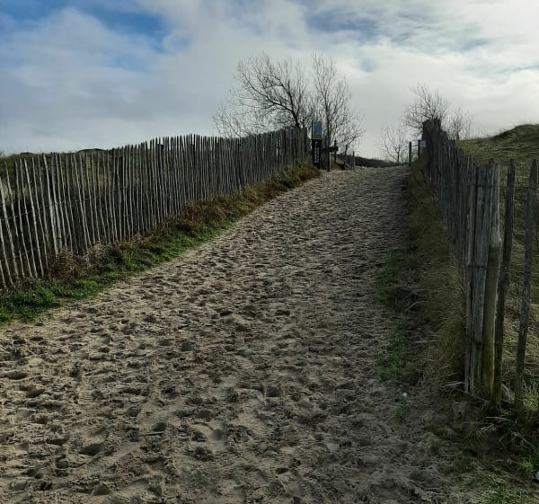 La dune de Royan à Quend-Plage - Quend - 1