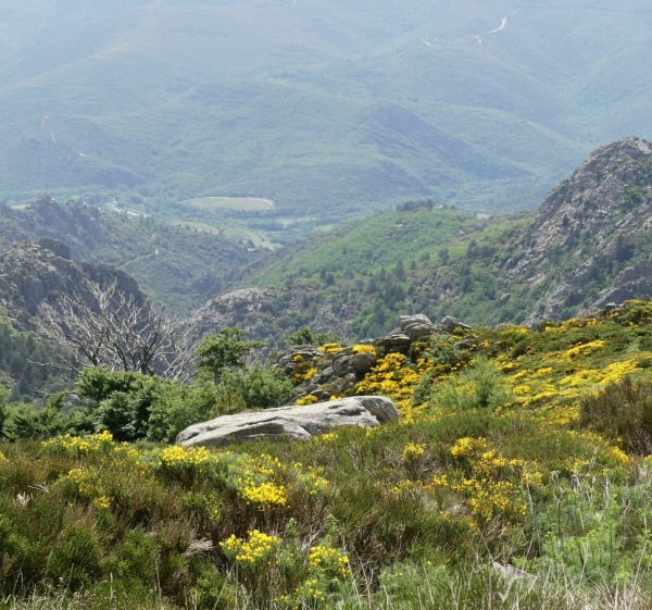 Du col de l'Espinouse à la tour de guet Agoudet - Rosis - 1
