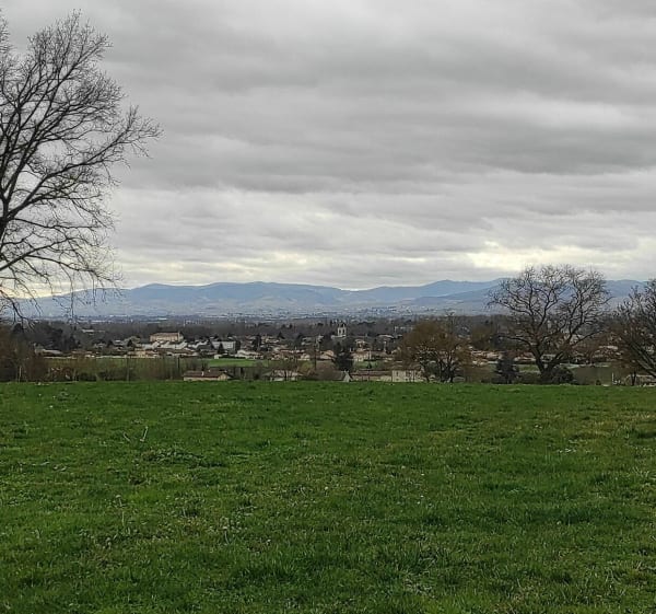 Panorama sur le Beaujolais - Saint-Didier-sur-Chalaronne - 1