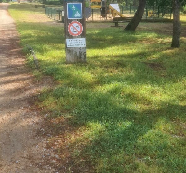 Balade dans la forêt du Pignada - Anglet - 1