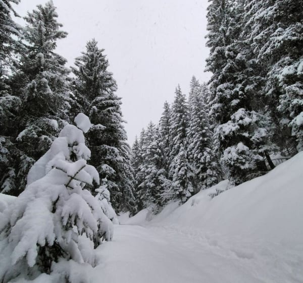 Prachtige sneeuwschoenwandeling Le Pleynet - Crêt du Bœuf - La Ferrière - 1