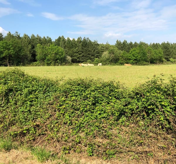 Boucle Aubinoise #6 - Aubigny-Les Clouzeaux - 1