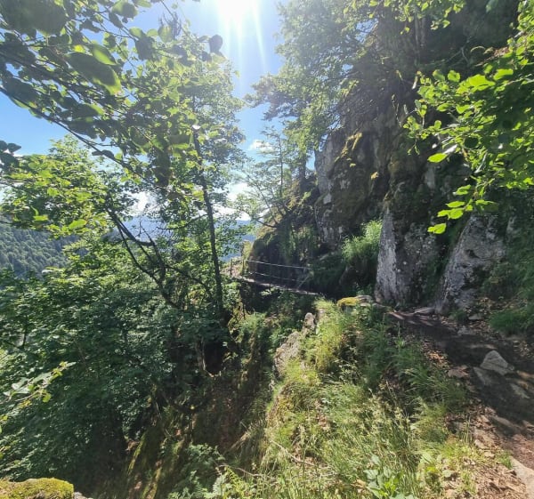 Le sentier des roches - Stosswihr - 1