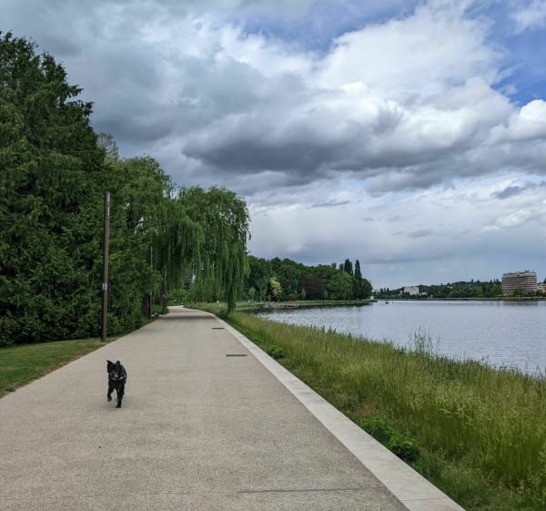 Balade à Vichy J2 - Vichy - 1