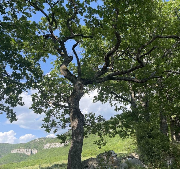 Incroyable tunnel de la Grotte du Hibou - Millau - 1