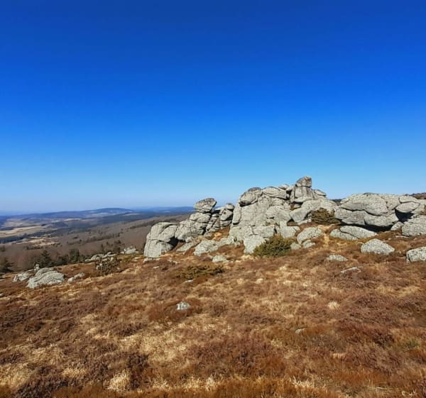 A la rencontre de la Margeride sauvage à Vitrolette - Monts-de-Randon - 1