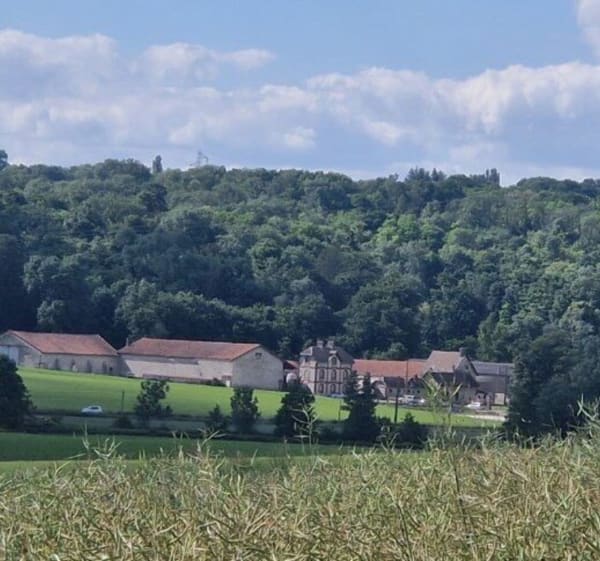 Balade autour des villages du morin… - Dammartin-sur-Tigeaux - 1