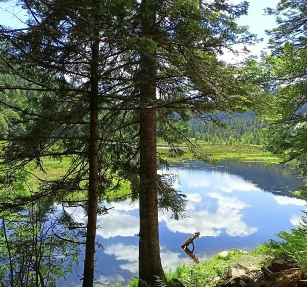 Balade avec vue - La Bresse - 1