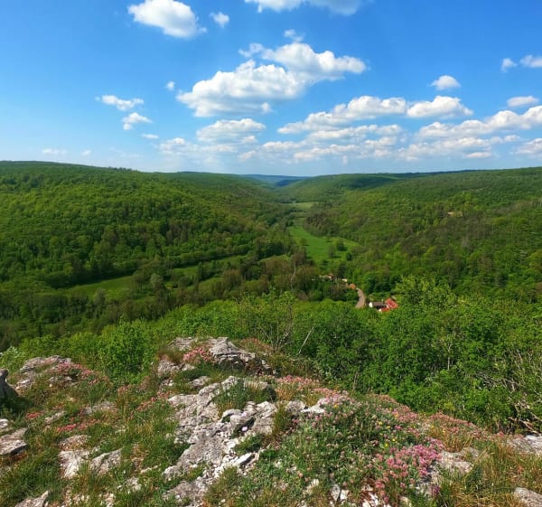 Boucle du lézard vert - Val-Suzon - 1