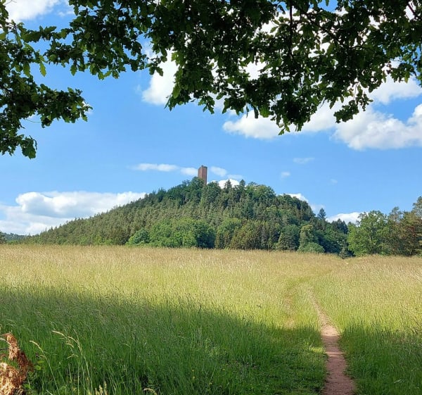 Randonnée en Pays de Hanau. - Philippsbourg - 1