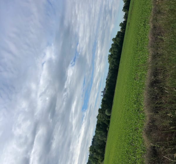 Le chemin vert - Laon - 1