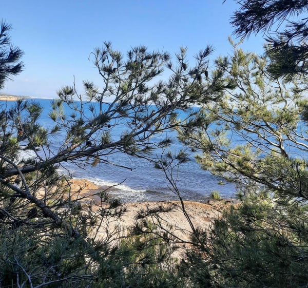 Cap Couronne au départ de Sausset-les-Pins - Sausset-les-Pins - 1