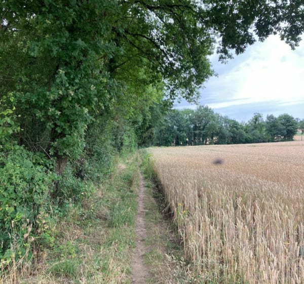 Running - La Combe, Sublessy, Mésigny, Chamarande, La Combe - Sillingy - 1