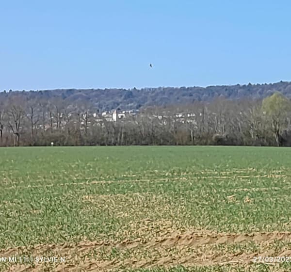 Circuit découverte - Domgermain - 1