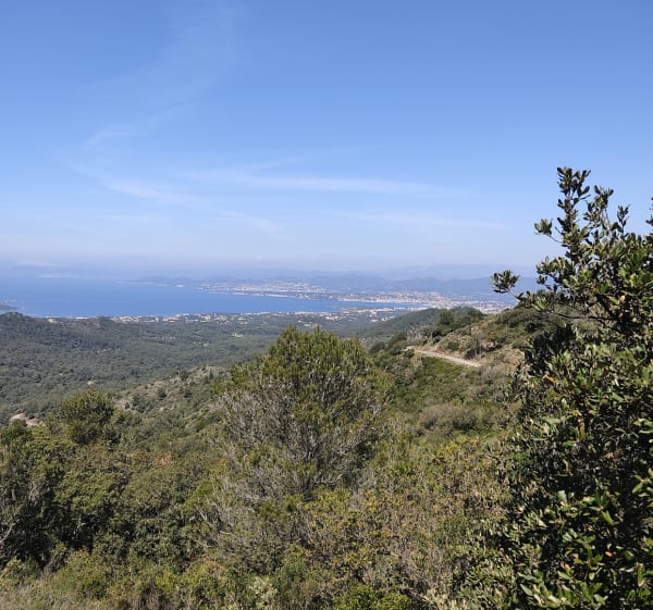 Trektocht in het bos en een subliem uitzicht op Cap Sicié - La Seyne-sur-Mer - 1