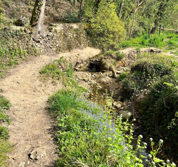 Wandeling langs het Fauvettes-viaduct - Bures-sur-Yvette - 1