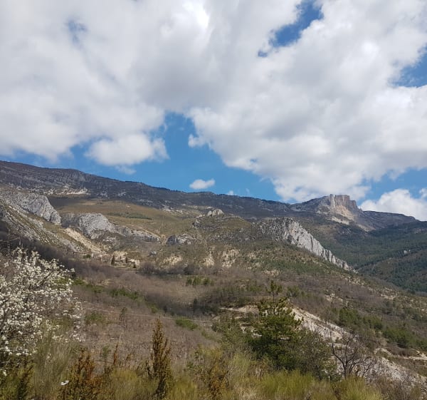 Virée au Chasteuil et admirer le Verdon d'en haut - Castellane - 1