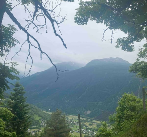 Bourg-Saint-Maurice : trip de folie autour du bois des Bochères - Bourg-Saint-Maurice - 1