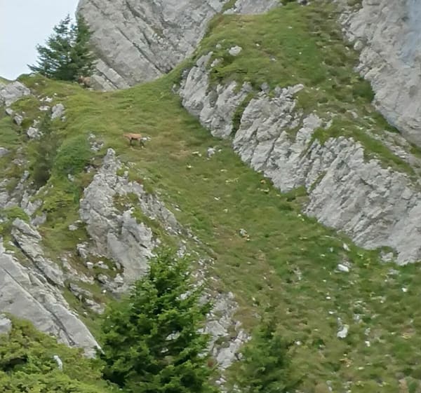 Boucle à la Dent d' Arclusaz - Saint-Pierre-d'Albigny - 1