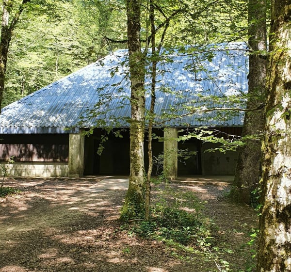 Balade dans la forêt de Chailluz - Besançon - 1